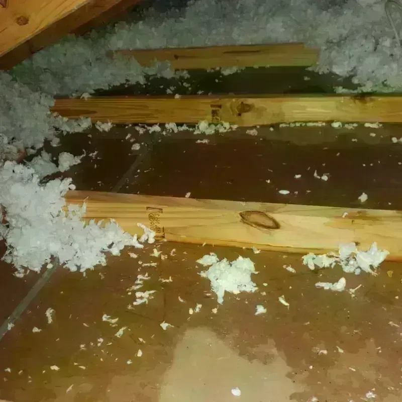 Attic Water Damage in Rocklin, CA